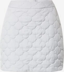 Mini-jupes Jupe Brunch Babe Femme Gris